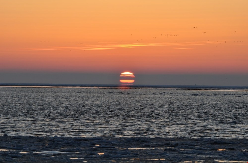 Overnachten in een boutique hotel op de Wadden: waarom Vlieland zo goed past bij een feelgood weekend